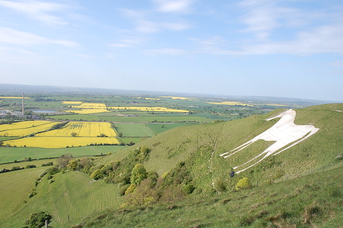 Westbury White Horse