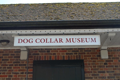 Dog Collar Museum