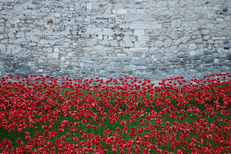 Blood Swept Lands and Seas of Red