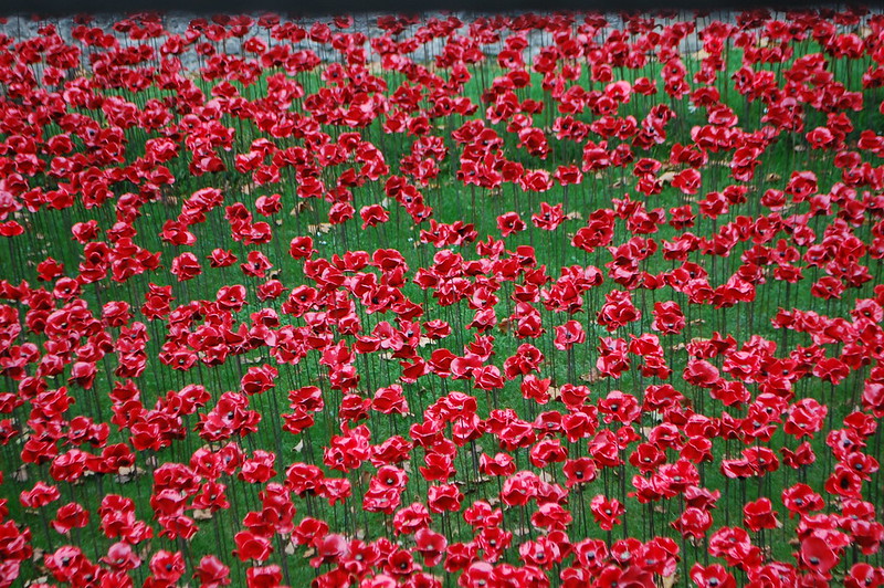 Blood Swept Lands and Seas of Red