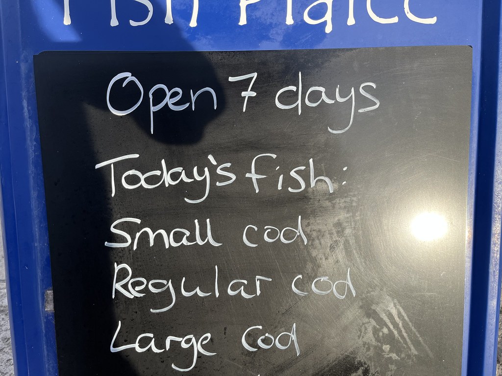 Todays fish; small, regular or large