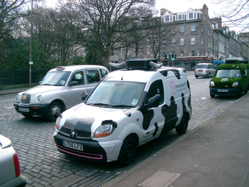 Innocent cow vans